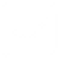 Leading Technology Support Customization