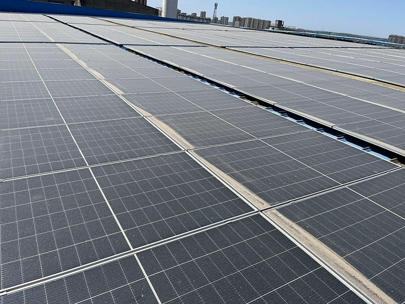 Green Development, Lighting Up The New Future Of The Industry